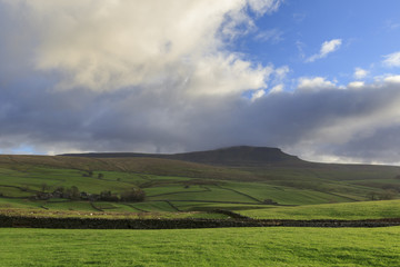 Obraz premium Yorkshire Dales