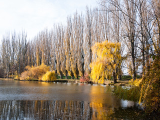 Pond in autumn season