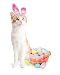 Cute Cat Easter Bunny With Basket
