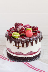 Pomegranate cake on white