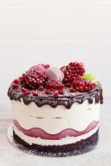 Pomegranate cake on white