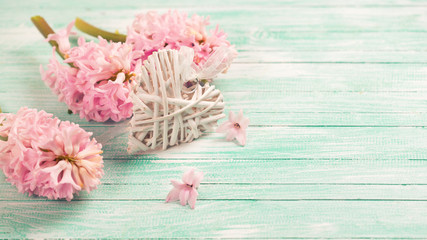 Decorative white heart and pink hyacinths on  turquoise  wooden