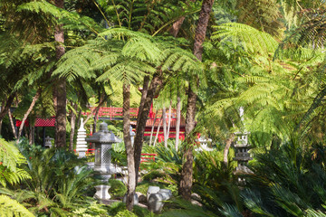 Tropical Japanese Garden at Monte