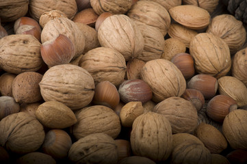 Fresh group of nuts