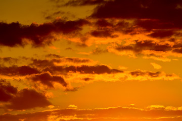 Heavenly landscape in Golden tones