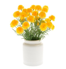 Marigold Artificial flowers in white ceramic vase