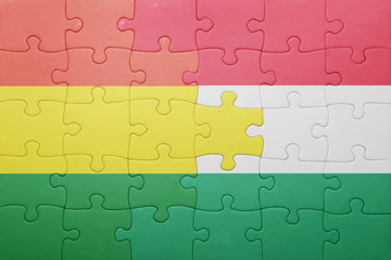 Obraz premium puzzle with the national flag of bolivia and hungary