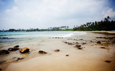 tropical beach in Sri-Lanka