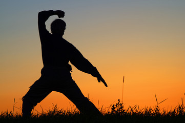 Man practicing karate on the grassy horizon after sunset. Art of self-defense. Silhouette against a...