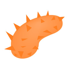 Orange virus isometric 3d icon
