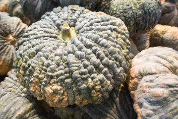 pumpkin pile
