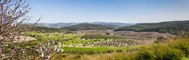 Mediterranean rural landscape, Israel