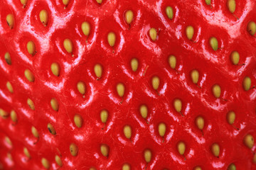 red strawberry background