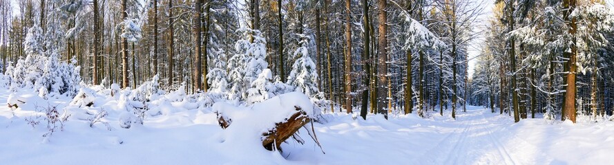 Winterlandschaft mit Langlauf Loipe