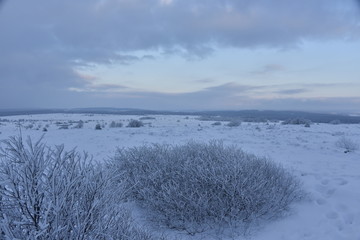 Le plateau des Hautes Fagnes en hiver sous la lumière du soir 