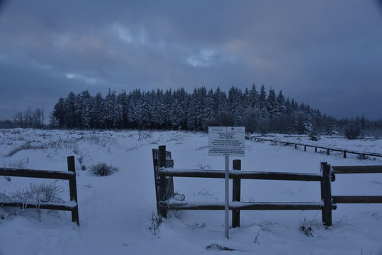 Zone interdites aux chiens sous la neige au cr&eacute;puscule au plateau des Hautes Fagnes en Belgique
