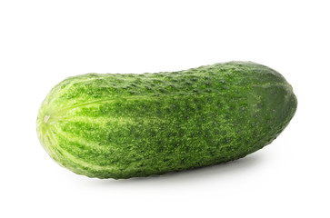 Bright green cucumber