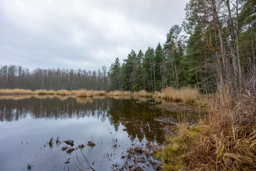 Slokas lake in Kemeri region