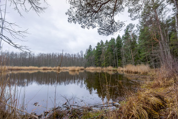 Slokas lake in Kemeri region