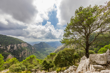 Beautiful view of Sierra de Tramuntana, Mallorca, Spain