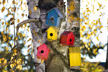 Bird houses on the tree