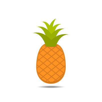 pineapple fruit on white background