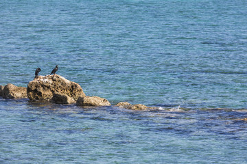 Fototapeta premium Mediterranean Sea.Cyprus