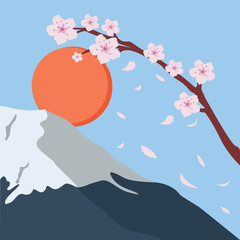 snowy mountain fuji sakura flower fall japan sun 
