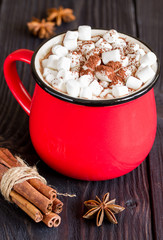 Cocoa with marshmallows