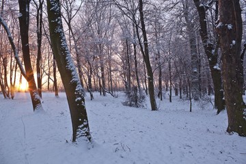 winter park in the early morning sunrise