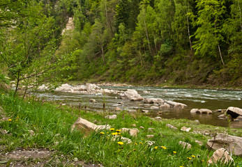 Fototapeta na wymiar Beautiful river in mountains in spring