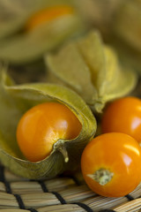 Physalis peruviana - alchechengio giallo