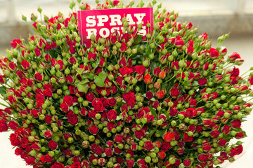 Red spray rose bouquet