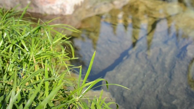 Falls, stream, mountain river