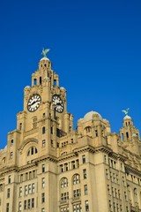 Royal Liver building from Liverpool