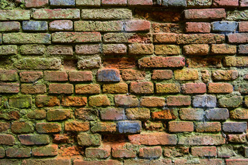 Old brick wall in a background image