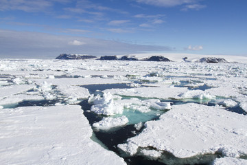 Sea of pack ice, Antarctica © karenfoleyphoto