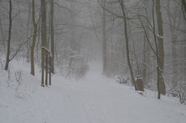 Winterwanderung im Schnee