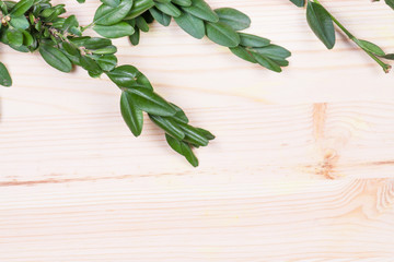 Fresh briar on a wooden background.