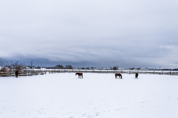 Mecklenburg-vorpommern