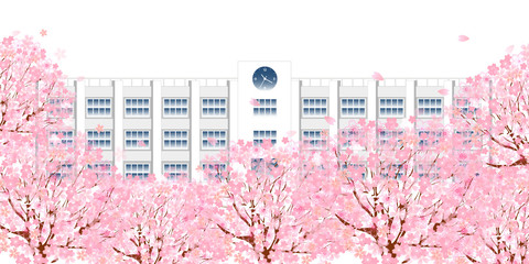 桜　学校　春　背景
