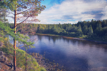 summer view with wild river