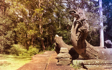 Fototapeta na wymiar Big seven headed cambodian snake statue (Naga) in temple ruins. Angkor Wat, Siem Reap, Cambodia
