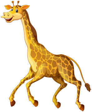 Giraffe with happy face running