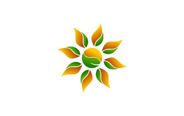 sun energy leaf