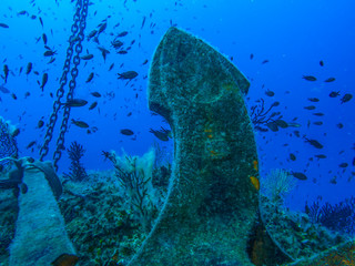 Ship anchor underwater