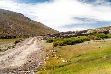 Fototapeta na wymiar Dust road on bolivian Altiplano