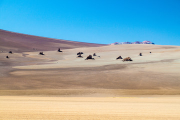 Fototapeta na wymiar Salvador Dali Desert in Eduardo Avaroa Andean Fauna National Reserve, Bolivia