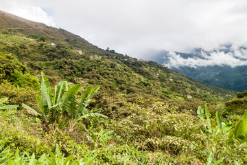 Villages near Coroico in Yungas mountains, Bolivia