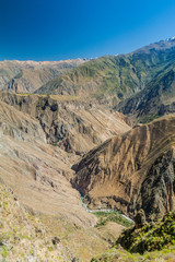 Fototapeta na wymiar Canyon Colca - second deepest canyon in the World, Peru
